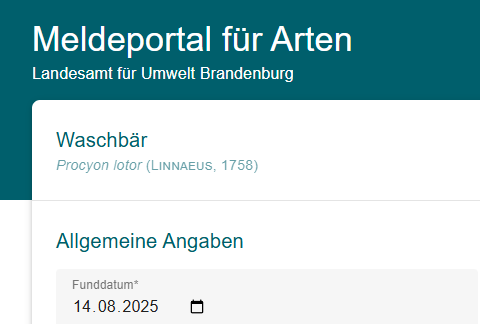 Neue Version des Meldeportals veröffentlicht
